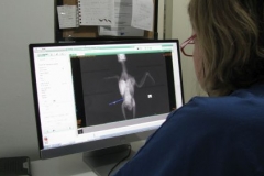 Papağan Bilgisayarlı Röntgen inceleniyor