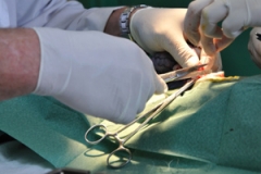 surgery1